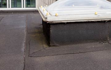 disadvantages of Broad Alley flat roofs