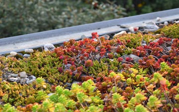 the cost of Broad Alley green roof installation