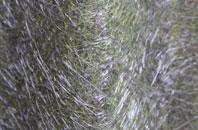 Broad Alley fibreglass roof work